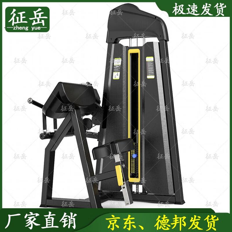 ZhenYue Commercial Strength Training Machines