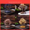 Natural Crystal Wealth Tree Home Decor With Rainbow Colors For Living Room Display