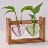 Creative Transparent Heart Shaped Glass Vase Colorful Elegant Hydroponic Vase Wooden Stand Desktop Vase Living Room