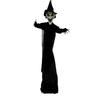Halloween Witch Haunting Ghost