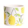 Creative Cartoon Fruit Ceramic Flower Pot Plant Flower Pot with Tray Cylindrical Countertop Flower Pot Living Room Garden Decor