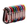D-Shaped Aluminum Alloy Carabiner Hook: Hand Sanitizer, Water Bottle, Clothing, & Keychain Accessory