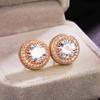 Earrings, Versatile Round Zircon Stud Earrings, Women'S Fashion Hipster Accessories