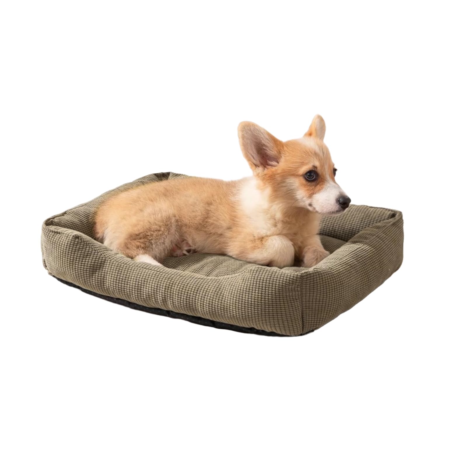 

Alien Pet Dog and Cat Pet Bed Suitable for Small and Medium Care with Suitable for and Easy to Clean Bed, Mat, Dogs, Mat, Washable, Cushion, Non-Slip,