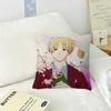 Anime N-Natsumes B-Book Of F-Friends  Pillow Gift Home Office Decoration Bedroom Sofa Car Cushion Cover Case 45x45