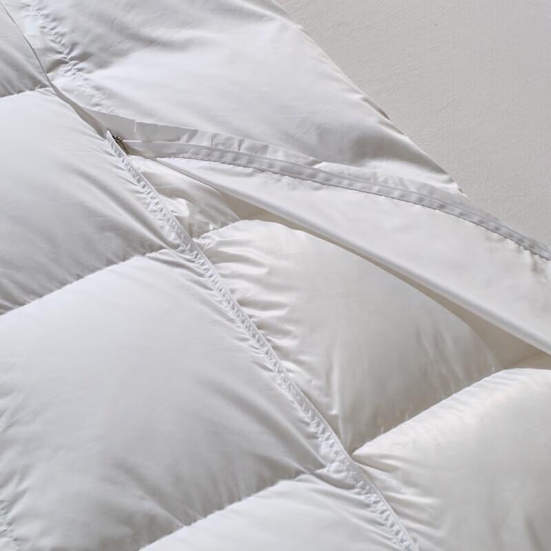 Muji Stain-Resistant Removable Goose Down Quilt