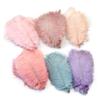 20Pcs Natural Ostrich Feather 15-20cm for Wedding Carnival Home Party Decoration DIY Handicraft Accessories Table Centerpieces