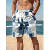 Plus Size Men's Shorts Beach Shorts for Summer Pool and Outdoor Activities