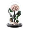 Eternal Flower Glass Cover Little Prince Rose Valentine's Day Gift Premium Finished Gift Box