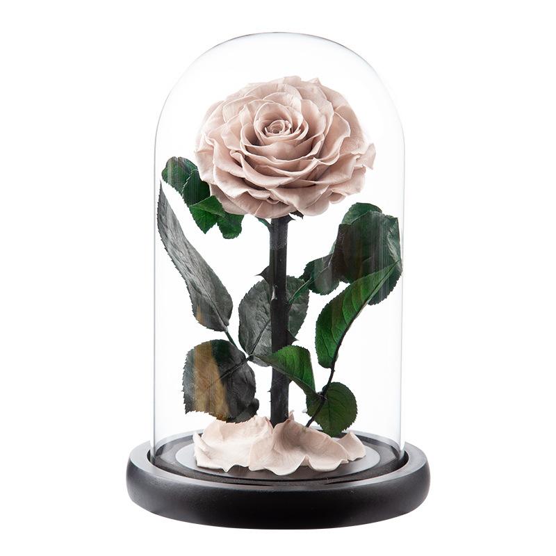 Eternal Flower Glass Cover Little Prince Rose Valentine's Day Gift Premium Finished Gift Box