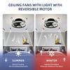 13.5 Inchs Ceiling Fan with Light White Small Ceiling Fan for Toilet/Kitchen DC Motor Fan
