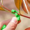 Plant Bending Trainer Low Pressure Branches Sprigs Tomato Plant Clips Pepper Clips Branch Accessories Plant Stands