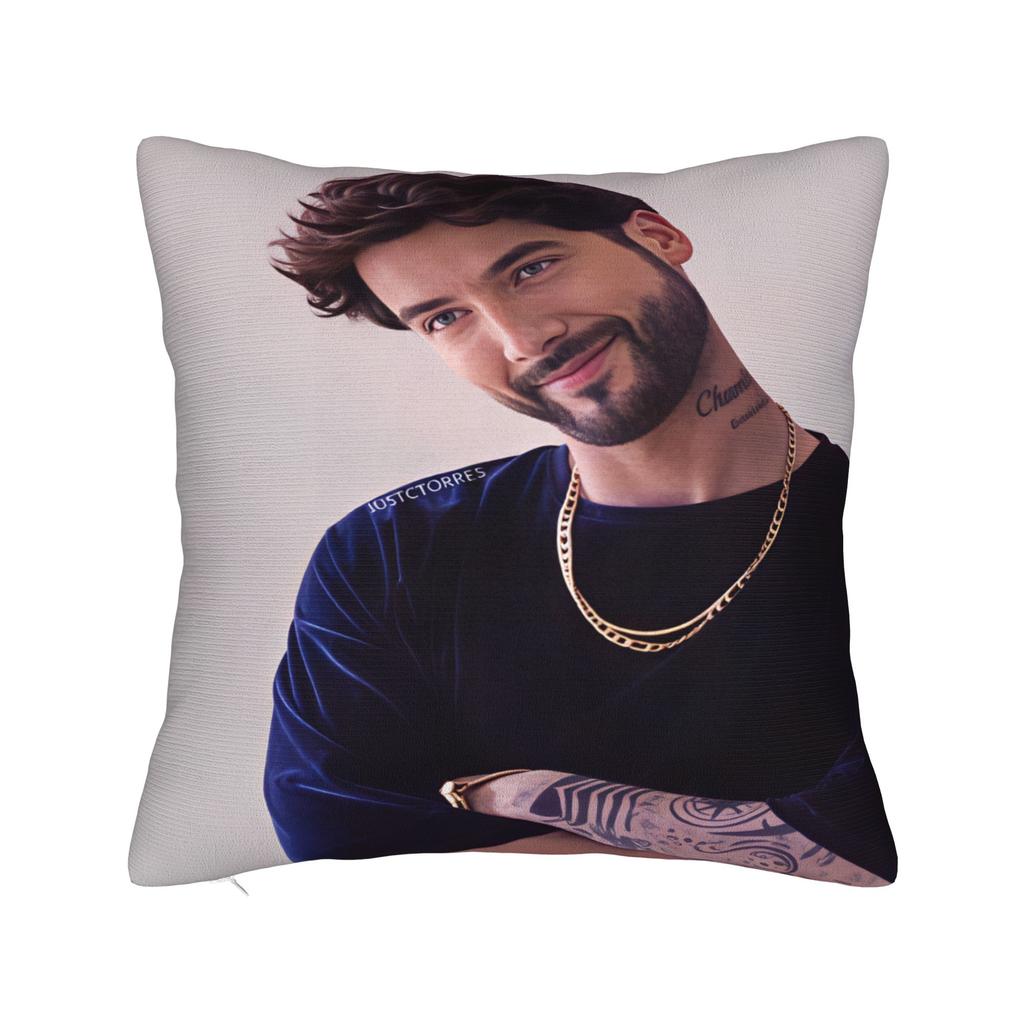 CCharly Flow Pillowcases  Morden Pillow Case For Living Room Chair Print Pillow Cover