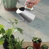 Stainless Steel Long Spout Watering Can for Indoor Plants