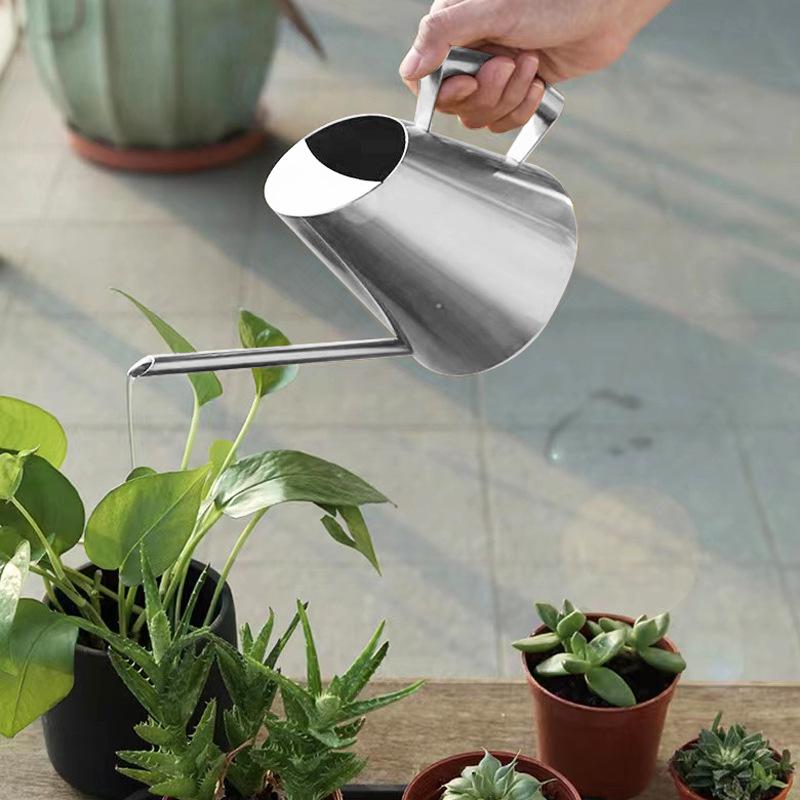 Stainless Steel Long Spout Watering Can for Indoor Plants