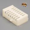 Kunststoff Mehrzweck-Königinnenzelle 10 Stück Universelles Bienenstockwerkzeug für sicheren Transport und Einsetzen von Königinnen in Bienenstöcke