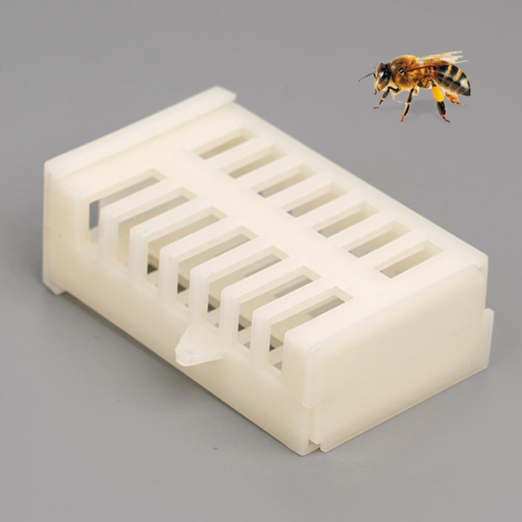 Kunststoff Mehrzweck-Königinnenzelle 10 Stück Universelles Bienenstockwerkzeug für sicheren Transport und Einsetzen von Königinnen in Bienenstöcke