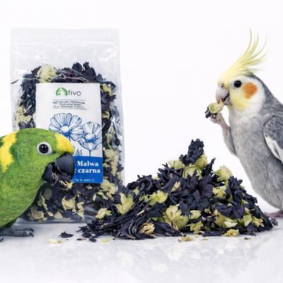 Black Mallow Flakes For Parrots - Natural Floral Supplement | 45 G