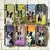 Clever Border Collie Dog Phone Case Black Silicone Soft For Samsung Galaxy A73,A72,A71,A70,A53,A52,A51