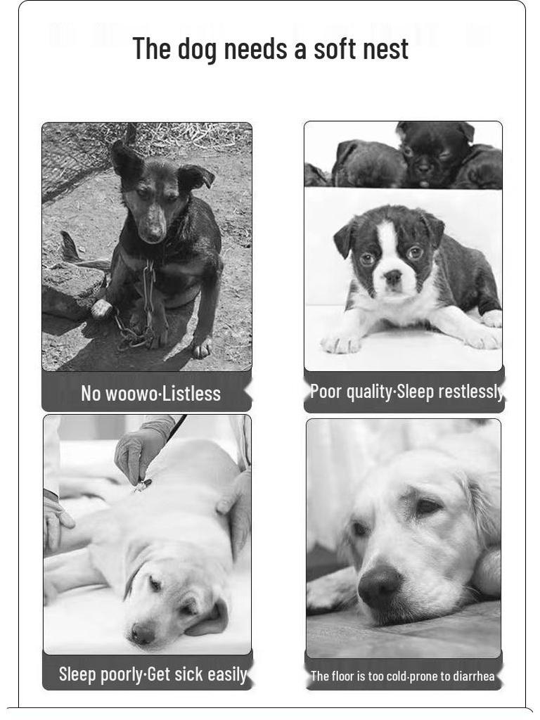 Immortal Pet Summer Cooling Mat - Universal Dog House & Cat Bed