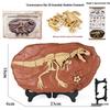 Jurassic Dinosaur Fossil Model Toy Set: Pterodactyl, Brachiosaurus, T. Rex & Stegosaurus Skeletons for Kids