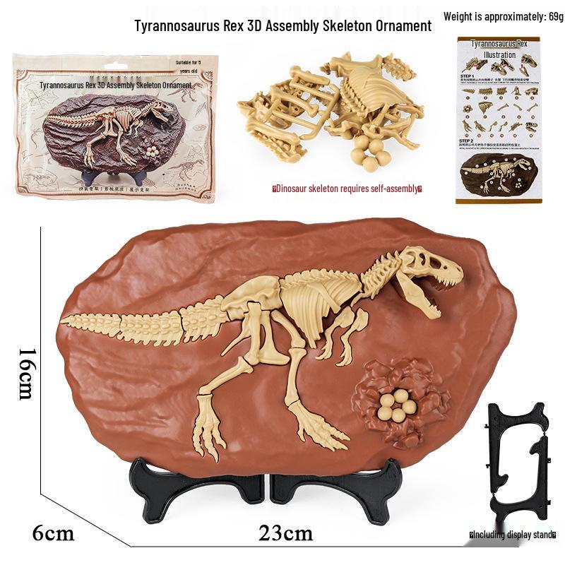 Jurassic Dinosaur Fossil Model Toy Set: Pterodactyl, Brachiosaurus, T. Rex & Stegosaurus Skeletons for Kids