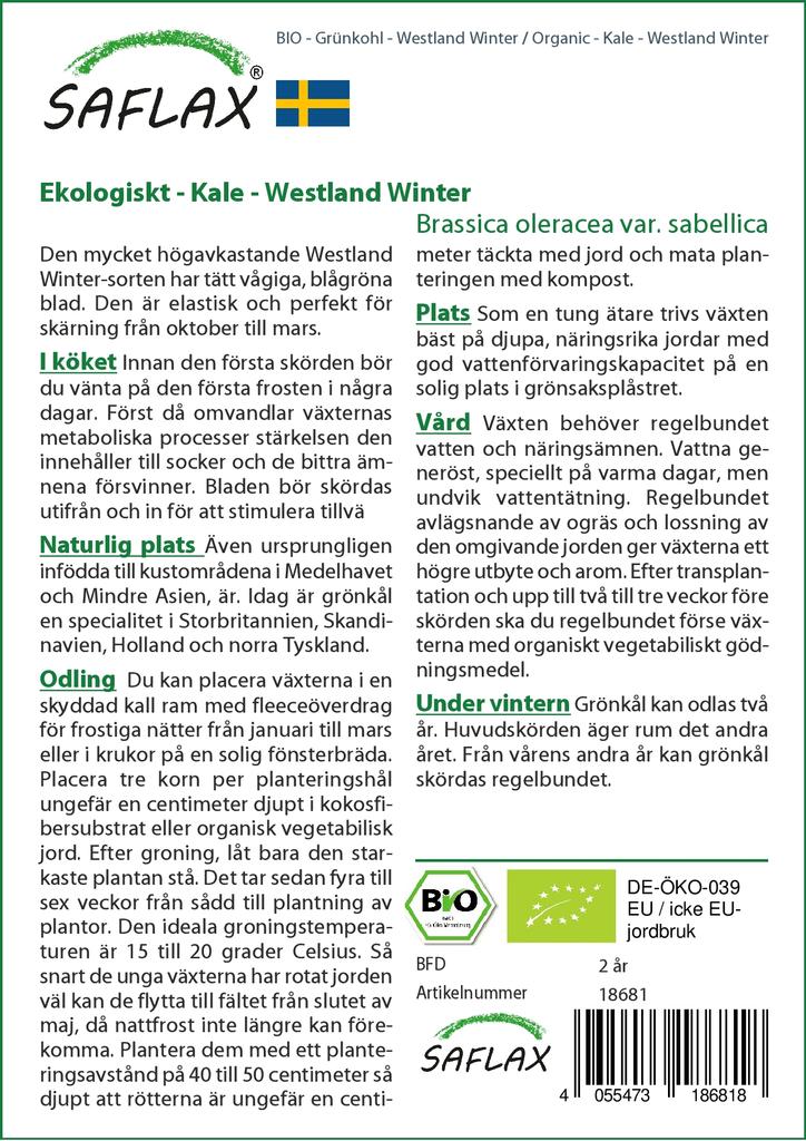 SAFLAX Bio - Kapusta - Westland Winter - 70 semen - Brassica oleracea