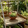 Decorative Kettle Shape Flower Pots Rust-Resistant Metal Teapot Planter  Balcony