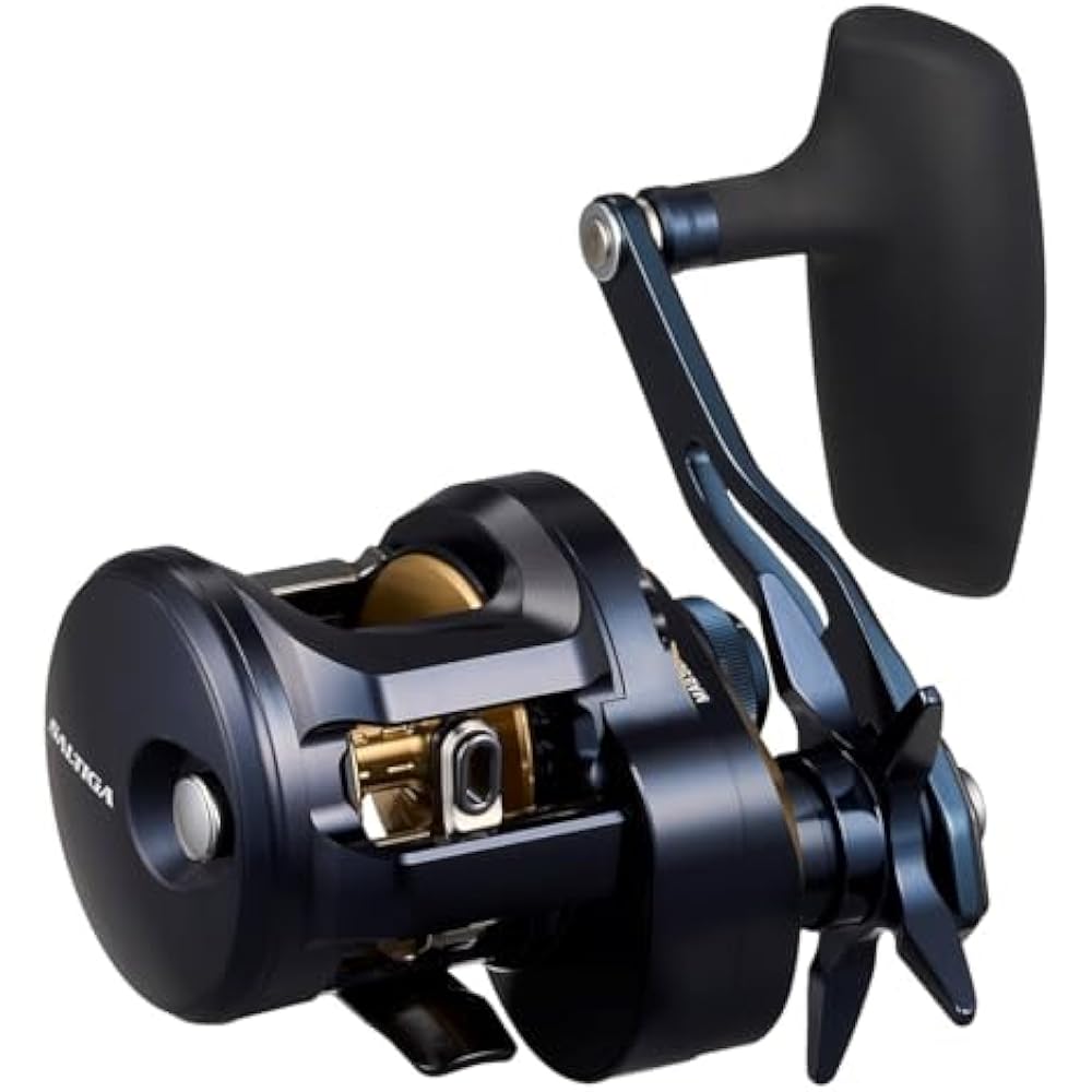 Daiwa (DAIWA) jigging bait reel SALTIGA (Saltiga) 300HL