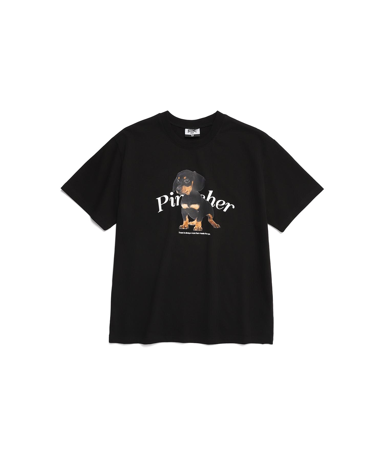 Rlxmc Little Pinscher Arch Logo T-Shirts Black M