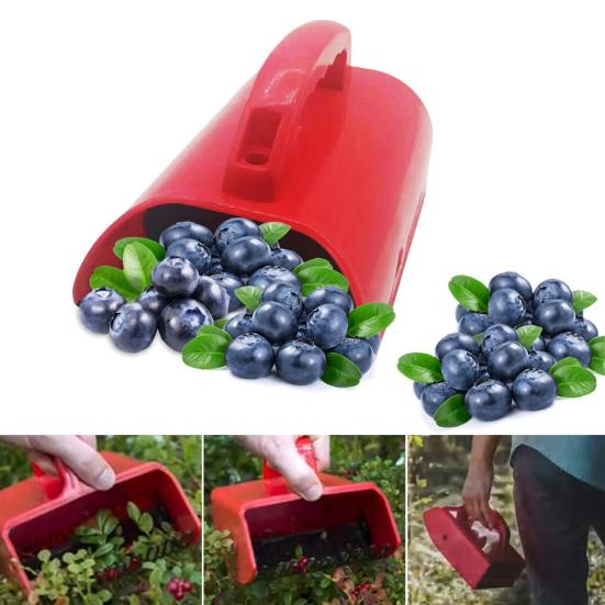 Blueberry Picker Berry Picker with Fruit Collection Bin Gardening Harvest Tool Blueberry Rake Scoop for Efficient Harvesting of Raspberries