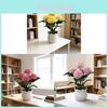 Miniature Chenille Chrysanthemum Home Decor With Plastic And Silk Material For Office And Gift Displays