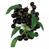 Fruit String Realistic Simulation Blueberry Foam Handicrafts Artificial Cherry Decorative Lifelike Fake Fruit Kitchen