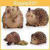 Durable Pvc Wild Hedgehog Animal Model For Science Education And Creative Fun