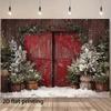 Accesorii de petrecere – Decorațiuni de Crăciun