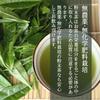 Whole-Leaf Green Tea Powder from Shizuoka Prefecture, Grown Without Chemical Fertilizers, Nutritious, Eat-It-Yourself Tea, Mixes with Shochu, Makes