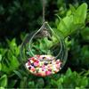 Hengende Glass Formeringstasjon Klar Terrarium Plantebeholder for Blomster Luft Hydroponiske Planter Liten Innendørs Blomstervase for Hjemmerom Vindu Kontor Dekorasjon