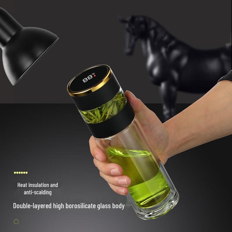 CAOX Double-Wall Glass Tea Infuser Bottle with Temperature Display