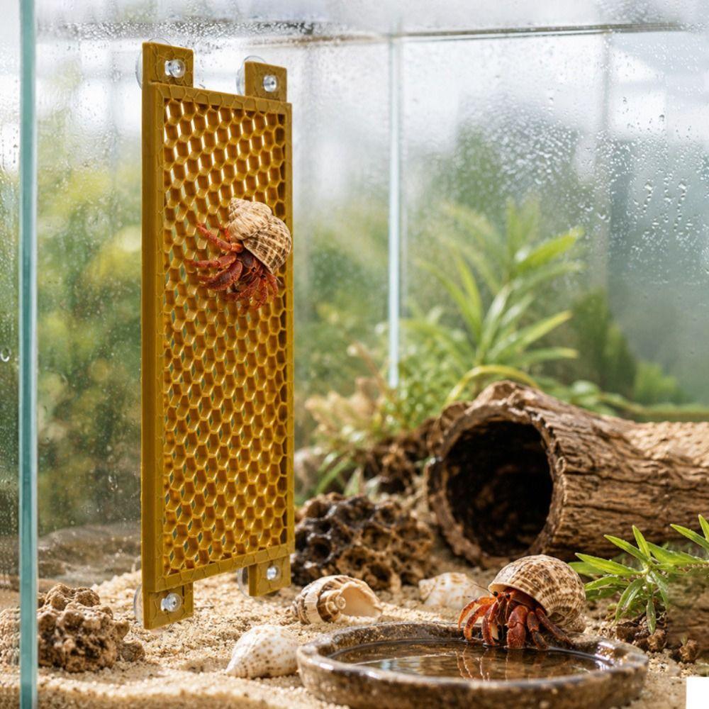 Anti-Slip Hermit Crab Ladder Secure Suction Cup Reptile Climbing Toy Climbing Mesh Panel  Terrarium