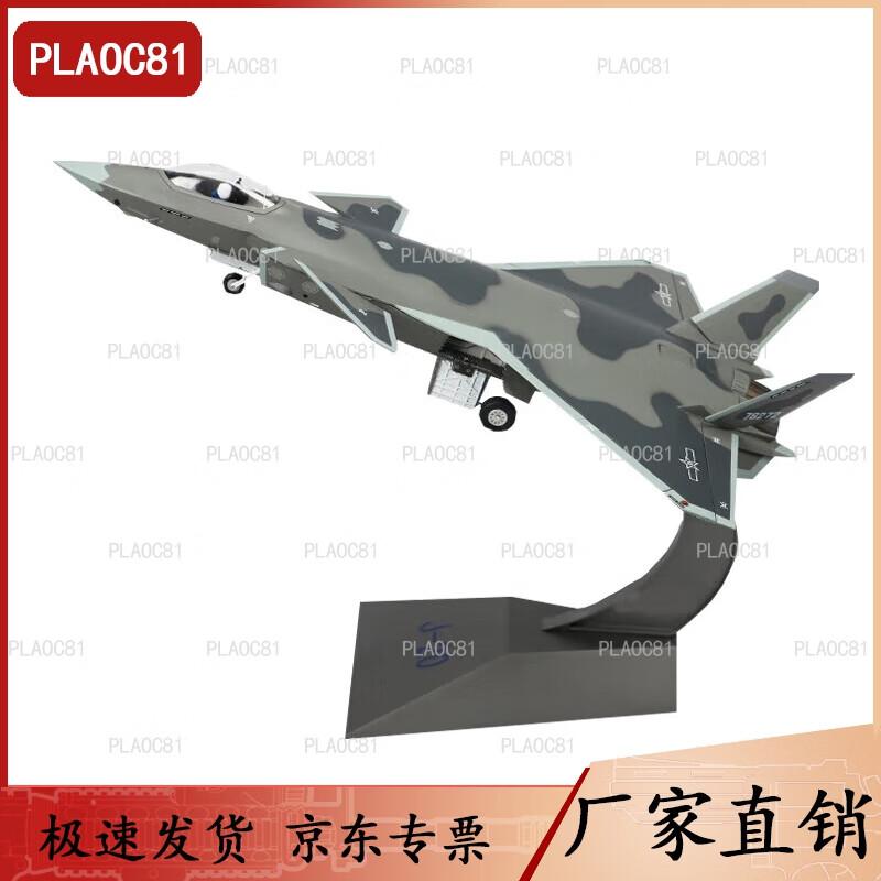 J-20 Fighter Jet Alloy Model 1:48