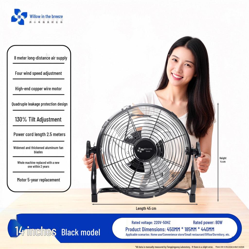Wind Light Yang High-Power Industrial Electric Floor Fan for Home and Restaurant Use