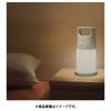Toshiba Lkl 3000 Led Lantern With Sensor