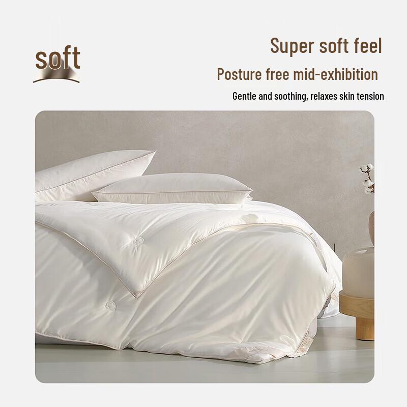 

Mercury Home Textiles Silky Fine Cotton Four Seasons Quilt