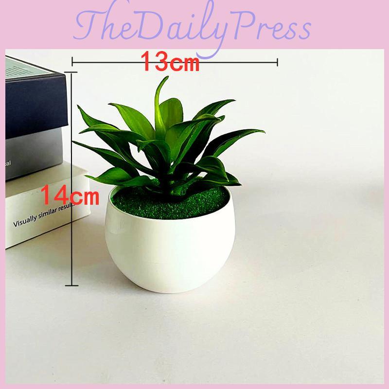 Fake Sinocrassula Indica Plant Pot With Pvc Material For Home Decor And Photography Props
