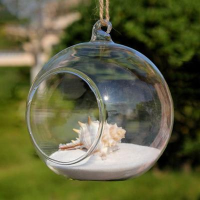 Micro Landscape Eco Vase Hanging Glass Vase Succulent Vase