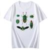 Cottagecore Entomology Tee Vintage Bug TShirt Insect Praying Unisextis Top Gift for Insect Lover Scientific Aesthetic Beetle Shirt