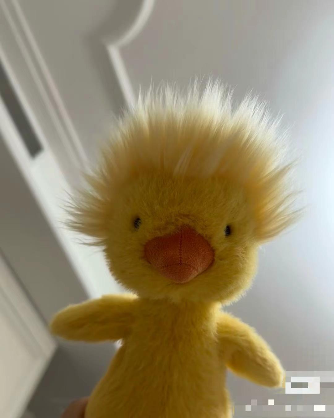 

Cute Fried Duckling Doll Plush Toy Animal Yellow Duck Doll Children S Toy Ugly Cute Duck 26cm