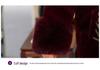 Imitation Mink Velvet Coat for Elderly Women - Plush, Warm, High-End Winter Wear