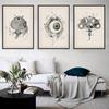 Vintage Human Eye Anatomy Medical Education Poster Canvas Painting Wall Art Pictures Ophthalmic Clinic Home Decor Gift