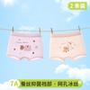 Girls' Ice Silk Underwear